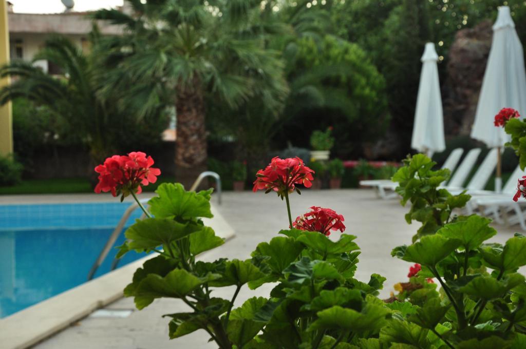 Palm Court Suites Ayvalik Luaran gambar